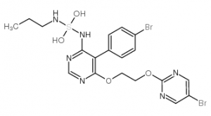 chemical structure of Macitentan intermediate: CAS#441798-33-0
